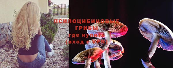 шишки Алексин