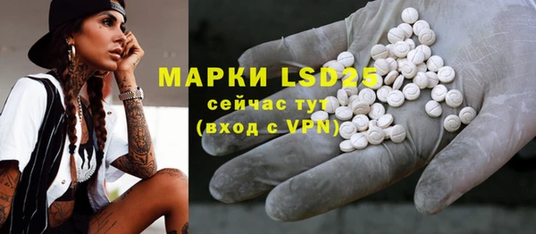 прущие грибы Зуевка